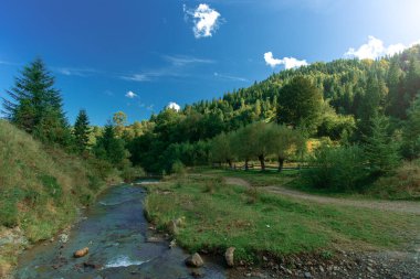 Resmedilmeye değer ilkbahar manzarası dağlık yeşil tepeler ve güneş ışığında kayalık nehir akıntısı ve kontrastlı renklerde yeşil yapraklar.