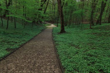 Waling Yolu Yaya Yolu Park Alacakaranlık Açık Hava Alanı Genel Görünüm Konsepti