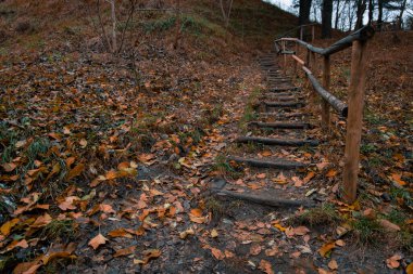 Sonbahar parkı açık hava ortamı, sonbahar mevsiminde yürümek için ahşap merdiven yolu.