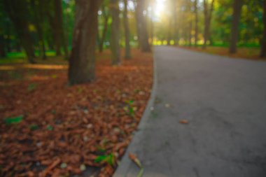 Sonbahar sabahının bulanık manzarası. Yükselen güneş. Yürüyen asfalt yolu olan doğal park alanı.