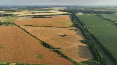 Sarı ve yeşil alanlar gökyüzü manzarası fotoğrafı