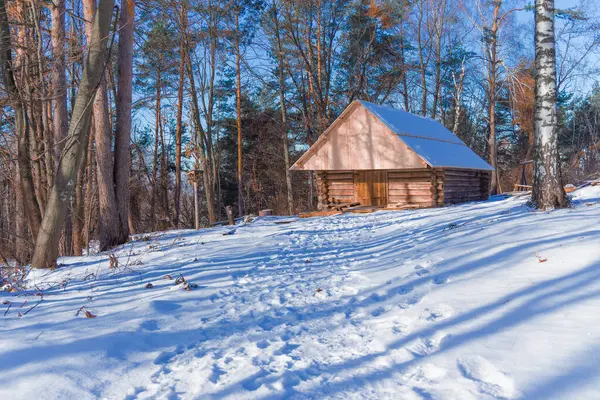 stock image winter forest landscape snowy frost weather natural view, wooden house cottage cabin in outskirts wilderness space