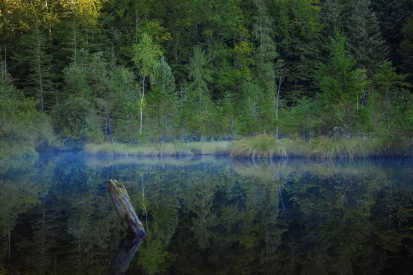 stock image autumnal morning nature landscape mist lake in forest with focus on background September seasonal natural environment