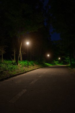 Parkın dikey çekimleri. Gece yarısı asfalt yol feneri. Elektrik ışığı.