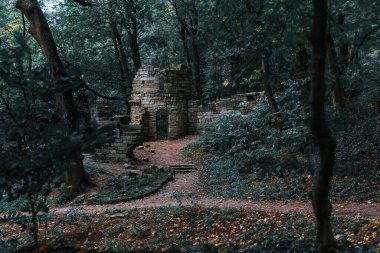 Karanlık orman manzarası. Hafiften aydınlık sonbahar ormanı manzarası. Eski kale manzarası.