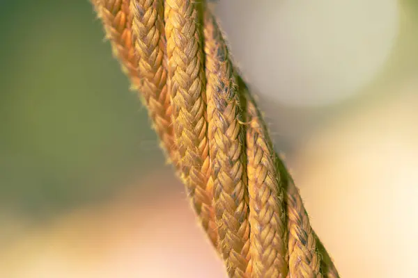 stock image rope thread straight single object close up macro photography of fabric material with colorful blurred background