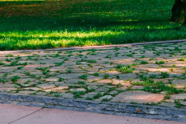 Sokaktaki kaldırım taşları eski kaldırım taşları. Parktaki çimlerin altından canlı renkler.