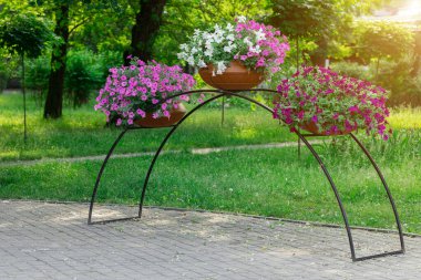 peyzaj tasarımı şehir merkezi bahar zamanı çiçek saksısı kemer dış doğa elementi Nisan ayında ılık güneş ışığı ile birlikte