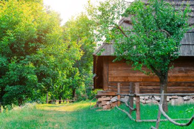 Ukrayna köyü kır evi ahşap kulübe ahşap estetik bahar güneşli sabah vakti çiçek bahçesi doğal çevre