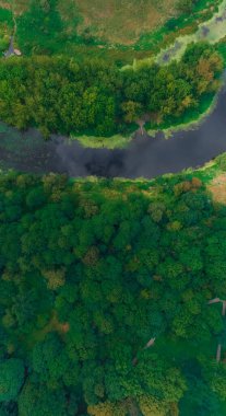 Yazın doğal manzara ağaçları yeşil yapraklar ve nehir akıntısı su dronu dikey görüntü