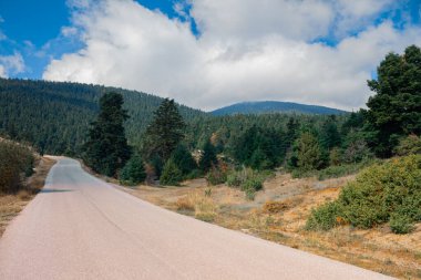Dağlık dağ asfalt yol manzarası doğa ladin orman bulutları manzara manzarası