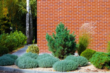 bahçe çalı bitkileri ve kırmızı tuğla çerçeve dışında peyzaj tasarımlı bir gayrimenkul inşa etmek