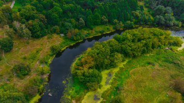 Yazın açık hava insansız hava aracı manzarası nehir ormanı ve arazi yeşil alanı çevresi