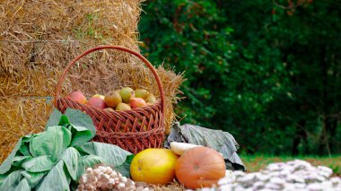 Bitkisel hayatta sebzeler ve meyveler sepetin içinde, battaniyeli taze yemek ve saman tarımı, kırsal alanda açık hava sahası.