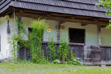 Ukrayna etnik mimari verandası inşa eden kırsal köy çamurlu ev. Bitkiler ve ayçiçekli veranda. İlkbahar günü, sıradan taşra kenar mahalleleri.