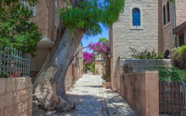 Kudüs İsrail kutsal ilkbahar zamanı antik şehir manzarası Nisan ayları çiçek mevsimi bahçe dar sokak manzarası kaldırım taşı, fayans kare şeklindeki binalar ve renkli bitkiler.