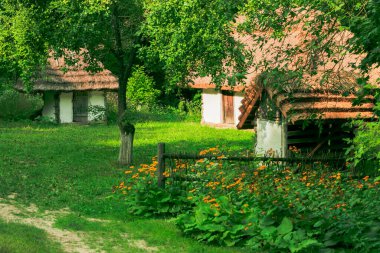 Köyün kırsal kesimlerinde küçük evler. Kır evi tarzı. Parlak, güneşli yaz, öğle vakti parkı, açık hava bahçesi.