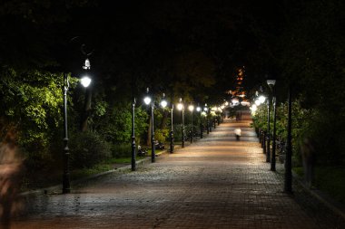 Gece manzarası parkı uzun soluklu romantik sokak lambalı yürüme yolu elektrik lambaları ve insanların hareketli bulanık siluetleri