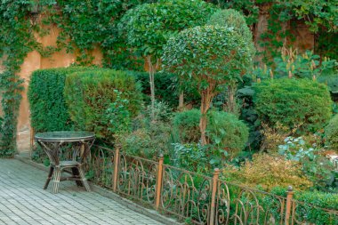 Baharın ilk bahar çiçekleri konsept bahçeleri asfalt cadde küçük masa dekoratif nesneler çiçek tarlası yakınında yeşil yapraklar ve çalılar