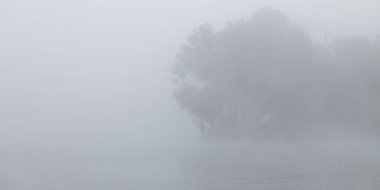 Panorama Doğa sisi atmosfer estetik ağaç silueti sessiz, pürüzsüz, yumuşak, sisli bahar sabahı duvar kağıdı arka plan manzarası manzarası