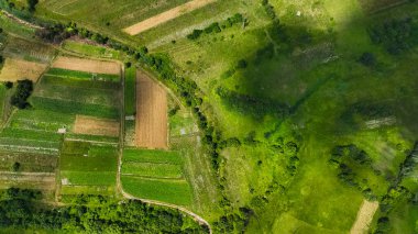 Ağustos ayında ülkenin yukarısından hava aracı manzarası yeşil çimen tarlası manzarası