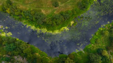 Hava aracı görüntüsü yaz manzarası kara yeşili nehir suyu doğa alanı