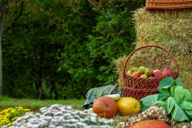 Sonbahar pikniği sebzeleri elmalar ve balkabakları sepetin içinde cennet bahçesinin dışında estetik konsept resim