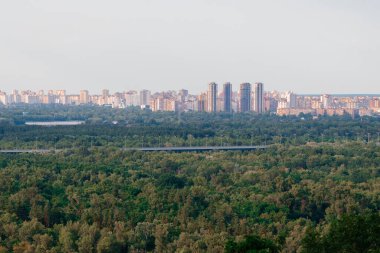 Geniş panorama megapolis şehrinin gökdelenlerinin insansız hava aracı fotoğraflarının en üst görüntüsü park ahşabının ön planda bulunduğu bir bölgede yaşıyor.
