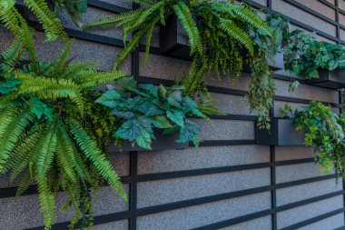 Dekoratif tavan arası, kapalı alan gri duvar hücreleri, çiçek saksıları, perspektif, arka plan duvar kağıdı konsepti.