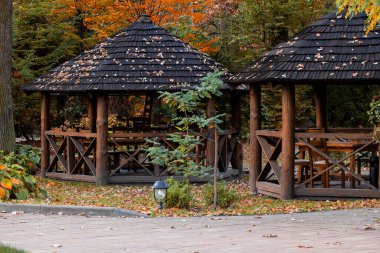 Ahşap malzeme çardak döşeme zemin bahçe peyzaj tasarımlı sonbahar parkı mekanında