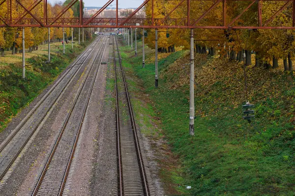 Kırsal kesimde düz demiryolu yolu çevresi sonbahar portakal ağaçları ara sokağı ekim mevsiminde mevsimlik ulaşım