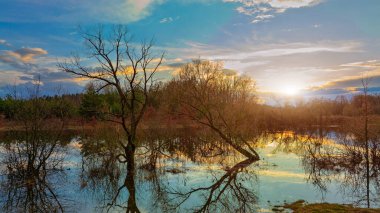 Panorama bataklığı arazisi atık arazi boş alan günbatımının çarpıcı ışıkları ufuk çizgisinde çıplak dallar