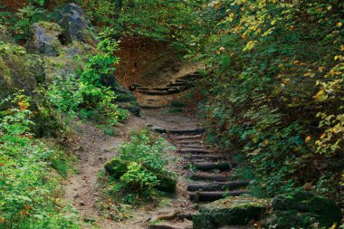 Doğa manzarası dağ kayaları ve merdivenler vahşi doğada çevre alanı