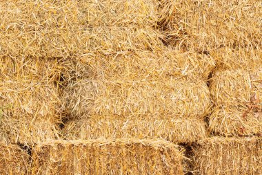 Kırsal kırsal tarımsal hasat yığını arka plan görüntüsünü dokudu