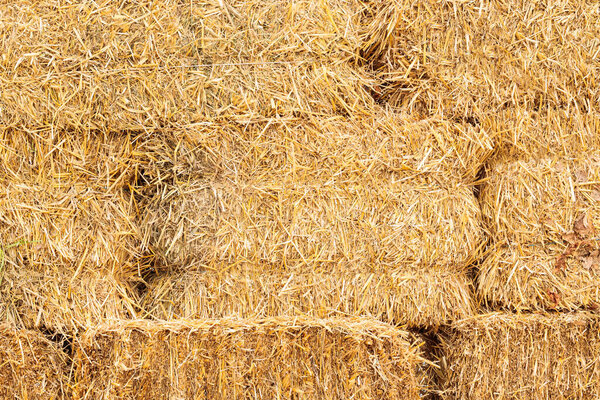 стопка сена сельских сельских сельхозпроизводителей текстурированная концепция фона