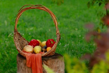 durgun sebze sepeti kırsal köy kır evi merkezi estetik bahar rengarenk çimenlik mevsimlik desen