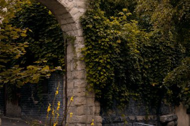 Alacakaranlık atmosferik sokak simgesi Avrupa kemer taşı bina ve bahçe yaprakları yerel yer