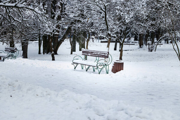 snowy park winter landscape cold season scenic view solitude loneliness place single bench without people here dusk lighting