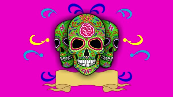 Día Los Muertos Muerte Santa Dibujos Animados Calavera Mexicana Azúcar — Vídeo de stock