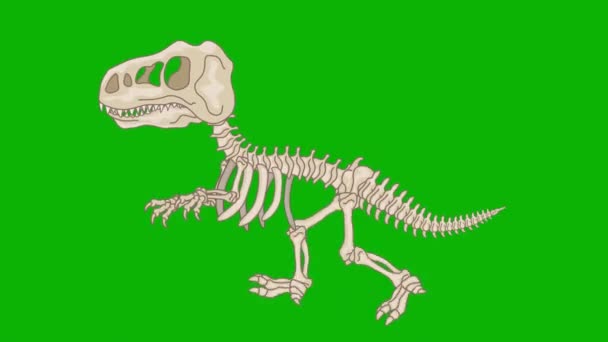 Cartoon Dinosaurier Skelett Läuft Mit Chroma Schlüssel — Stockvideo