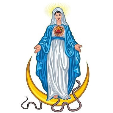 Aziz Meryem 'in Katolik görüntüsü, Madonna