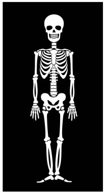 iskelet tam boy, şablon