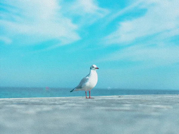 concept of the postcard with seagull at the pier
