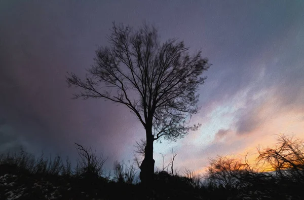Konzept Der Postkarte Mit Einsamem Baum Abend — Stockfoto