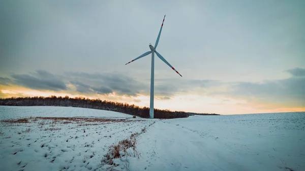 Arkasında bulutlu bir gökyüzü olan karlı bir tarlada yel değirmeni