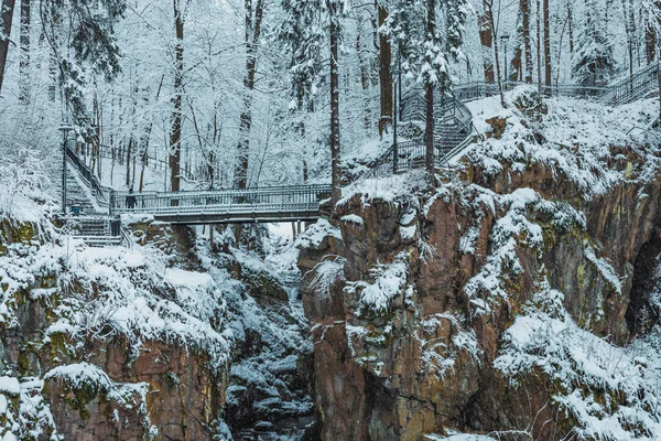 Bir dağ parkında karlı bir köprü