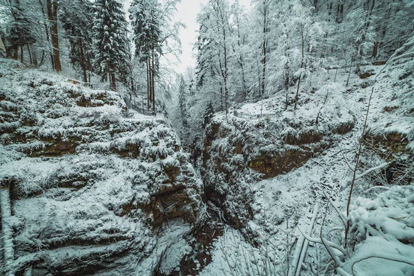 Kayaların arasında dere olan karlı dağ parkı