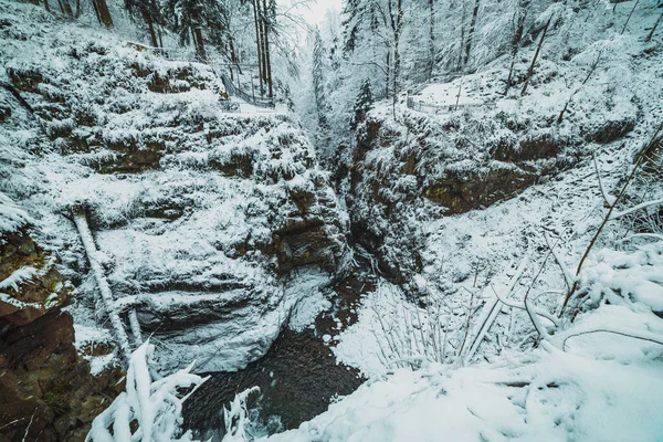 Снежный Горный Парк Ручьем Между Скалами — стоковое фото