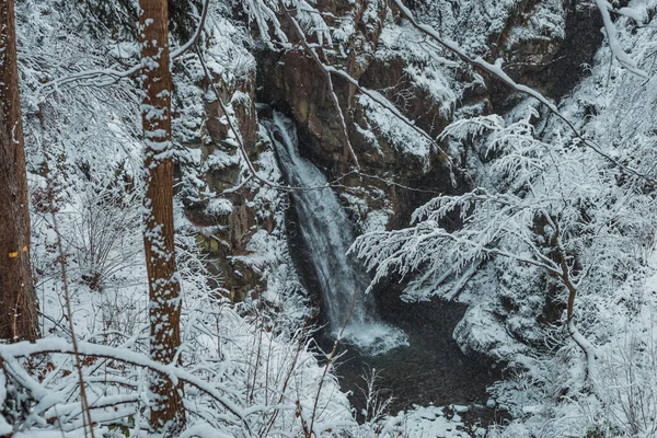 Водопад Снежных Горах Зимой — стоковое фото