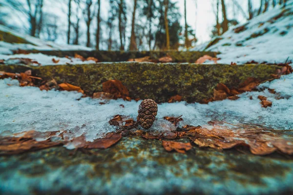 冬の公園の階段 — ストック写真